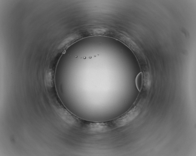 X0000111840378200907231413