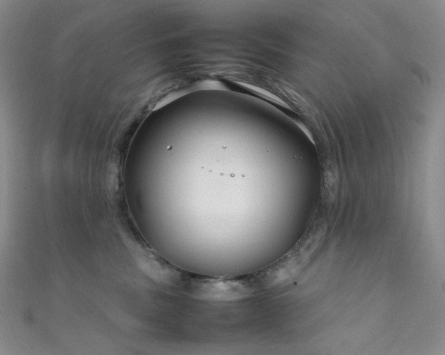 X0000111840379200907231413