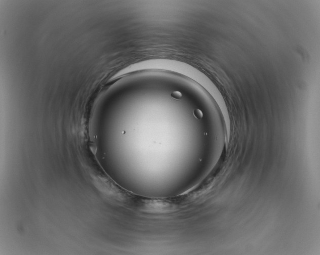 X0000111840380200907231413