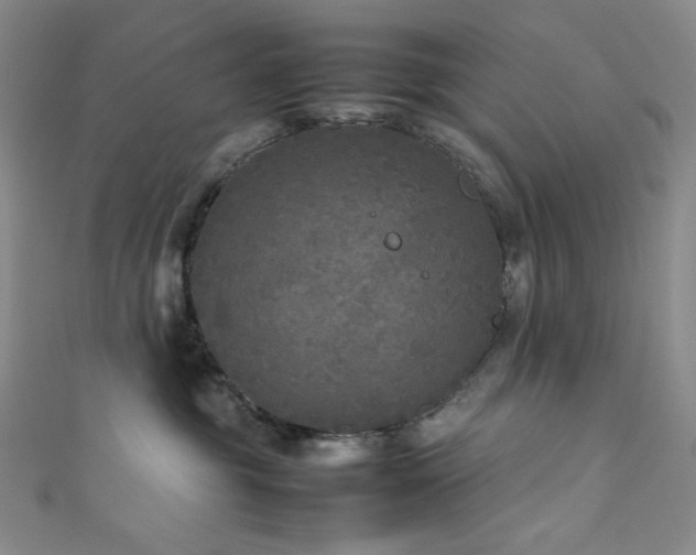 X0000111840381200907231413