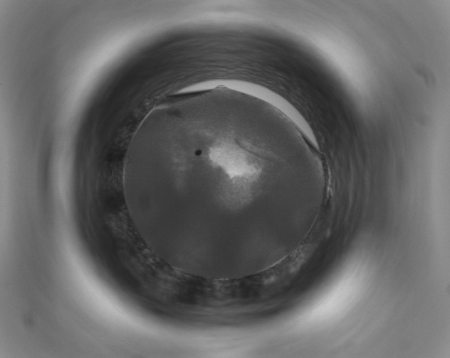 X0000111840383200907231413