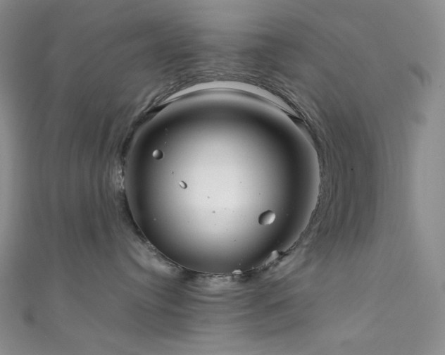 X0000111840384200907231413