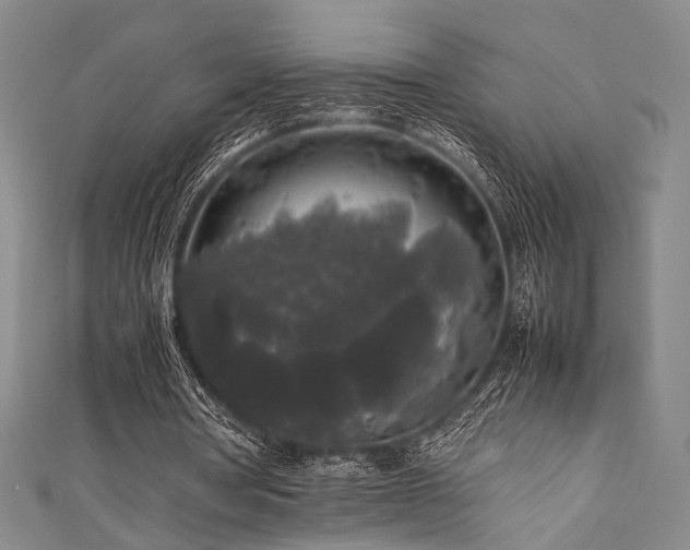 X0000111840386200907231412