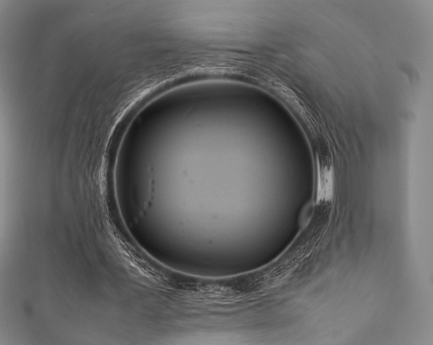 X0000111840387200907231412