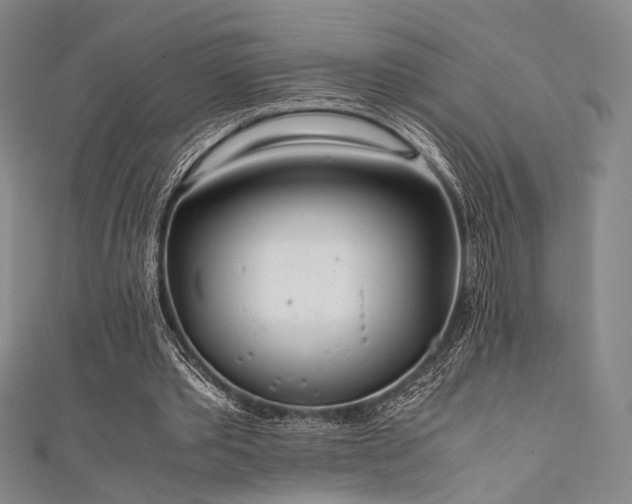 X0000111840389200907231412