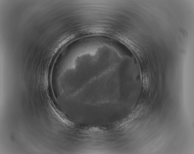 X0000111840390200907231412