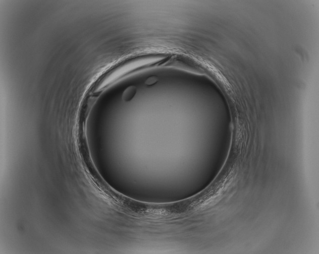 X0000111840391200907231412