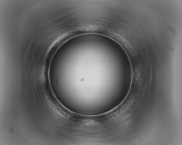 X0000111840392200907231412