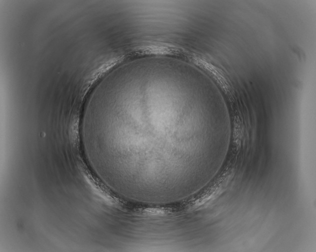 X0000111840394200907231412