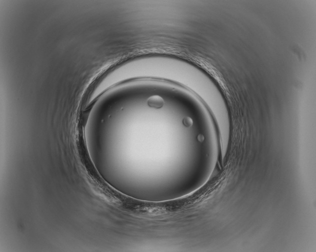 X0000111840395200907231412