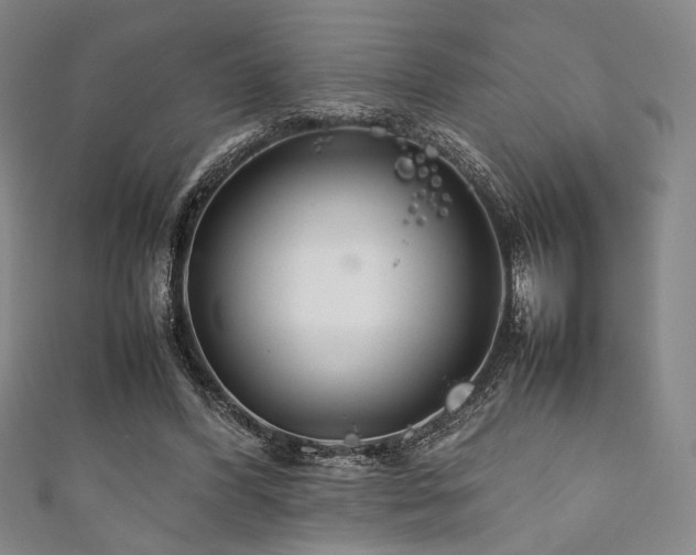 X0000111840396200907231412