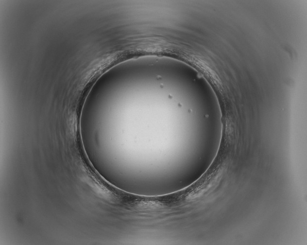 X0000111840397200907231412