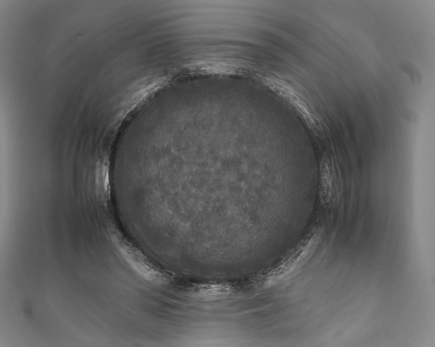 X0000111840398200907231412