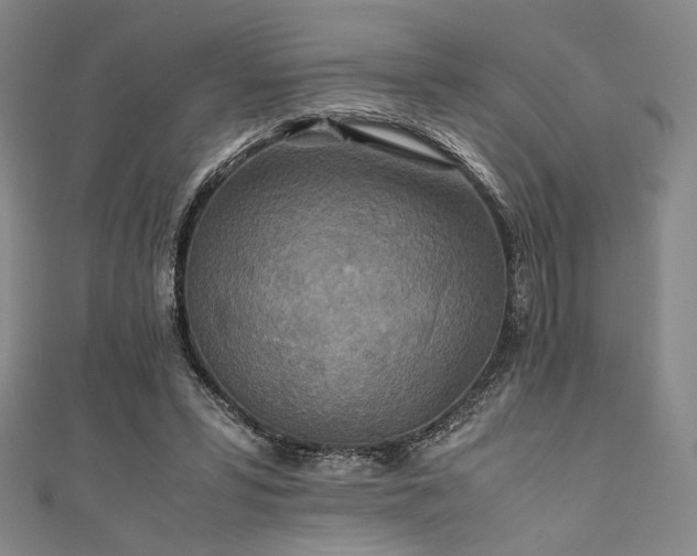 X0000111840399200907231412