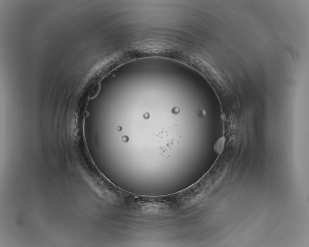 X0000111840400200907231412