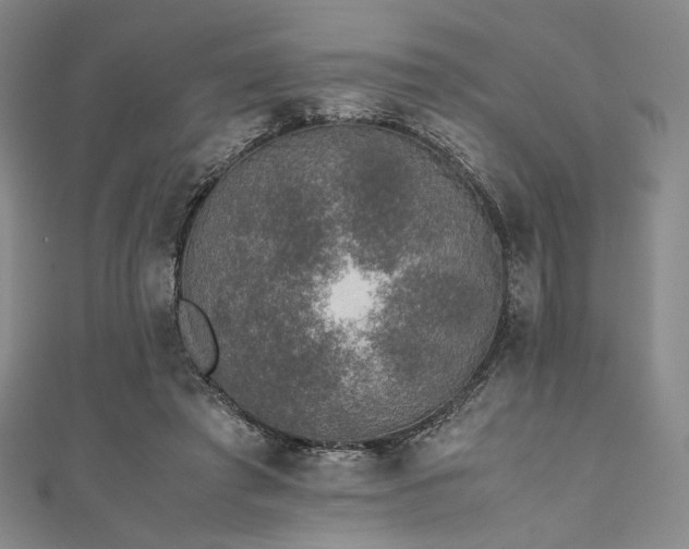 X0000111840401200907231412