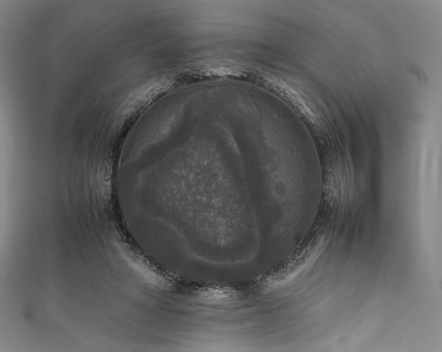 X0000111840402200907231412