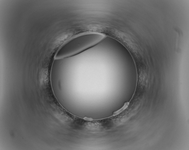 X0000111840403200907231412