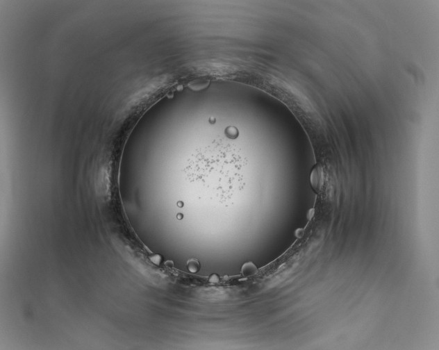 X0000111840404200907231412