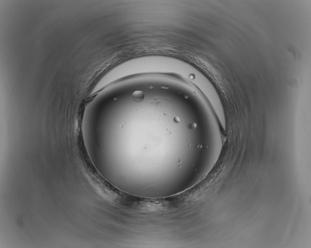 X0000111840405200907231412