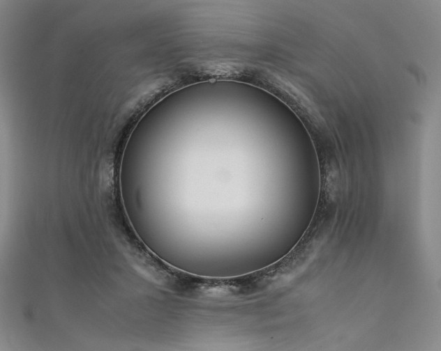 X0000111840407200907231412