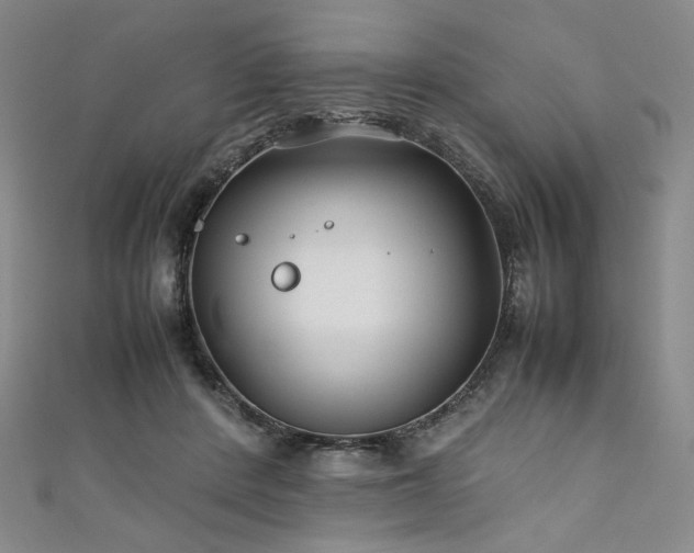 X0000111840408200907231412