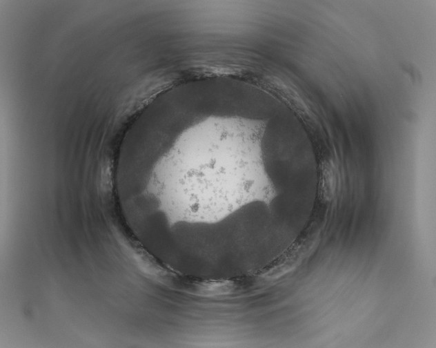 X0000111840410200907231412