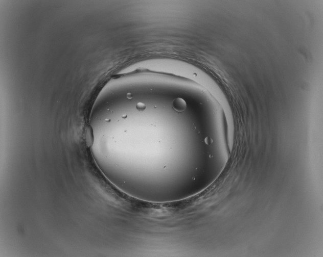 X0000111840411200907231412