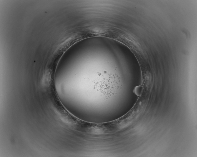 X0000111840412200907231412