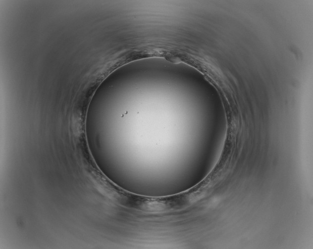 X0000111840413200907231412