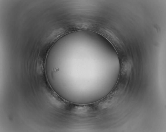 X0000111840414200907231412