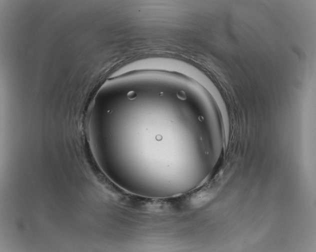 X0000111840415200907231412