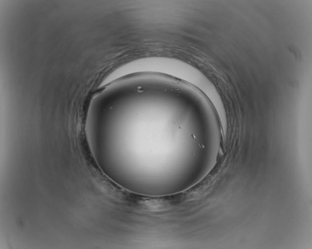 X0000111840417200907231412