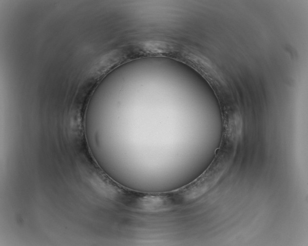 X0000111840418200907231412