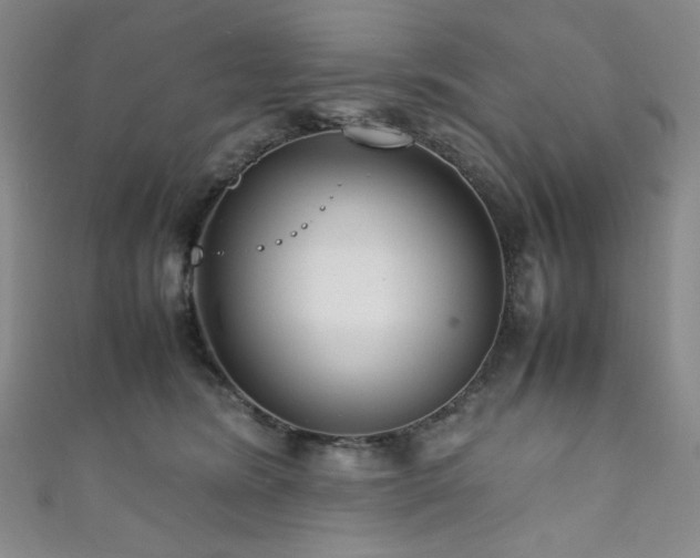 X0000111840420200907231412