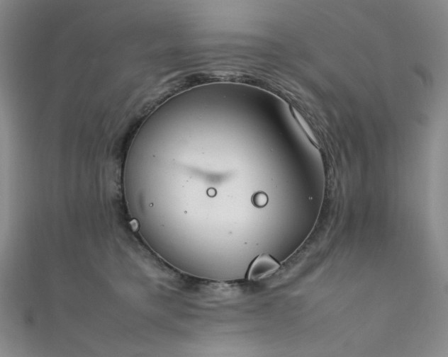 X0000111840421200907231412