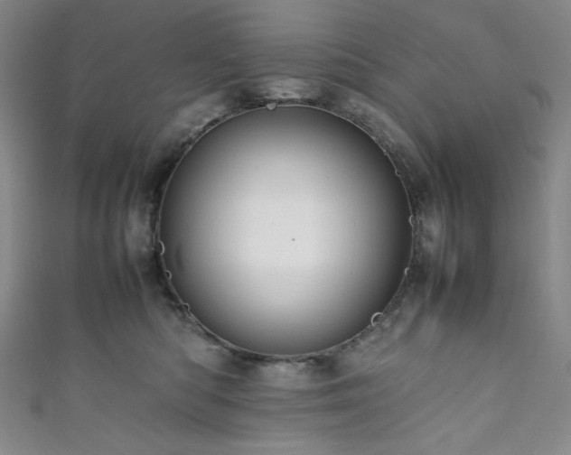 X0000111840422200907231412