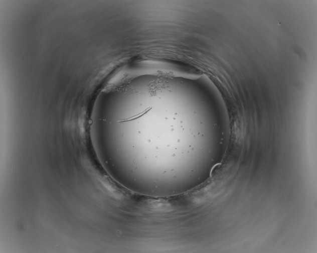 X0000111840424200907231412