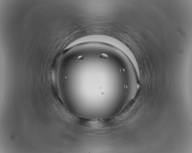 X0000111840425200907231412