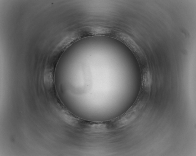 X0000111840426200907231412