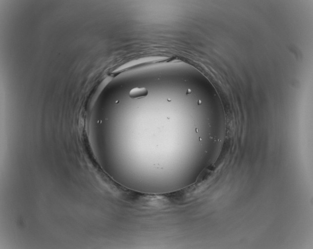 X0000111840427200907231412