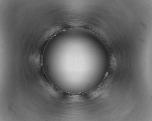 X0000111840428200907231412