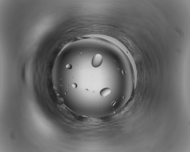 X0000111840429200907231412