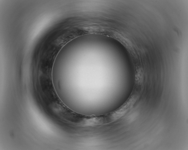 X0000111840430200907231412