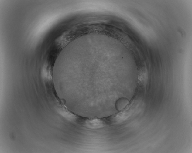 X0000111840431200907231412