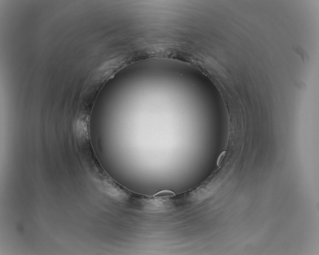 X0000111840432200907231412