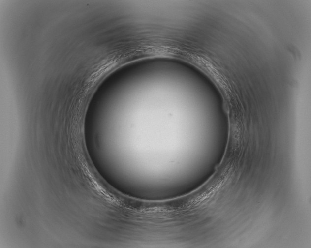 X0000111840433200907231411