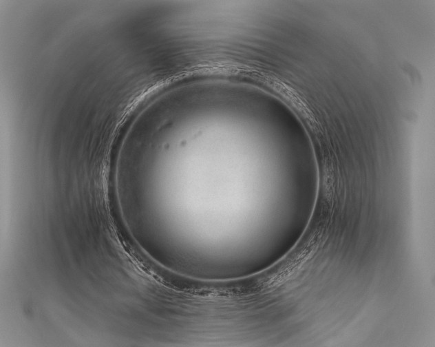 X0000111840434200907231411