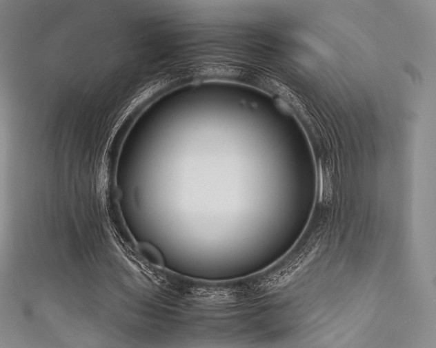 X0000111840435200907231411