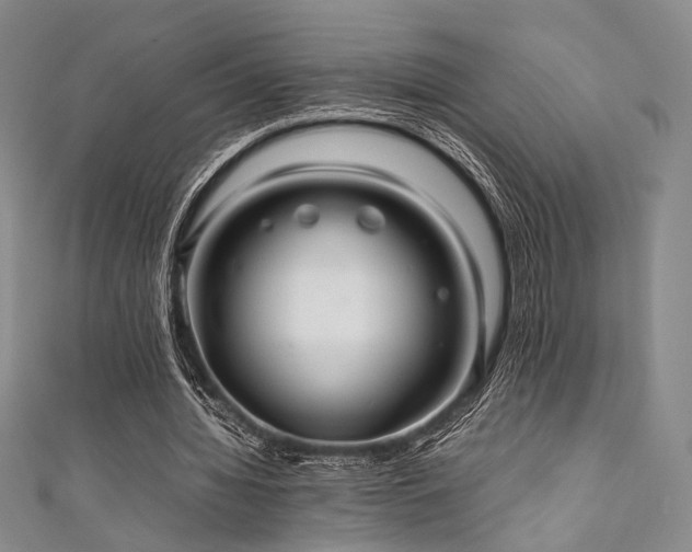 X0000111840436200907231411